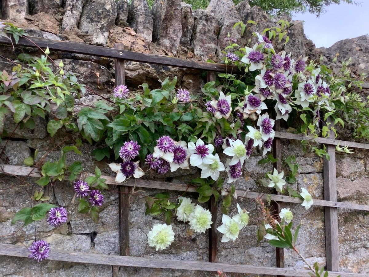 Hollyhock Cottage, Clematis Cottages, Stamford Exterior foto